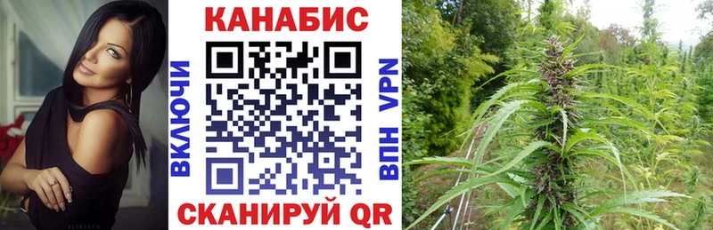 Бошки марихуана AK-47  Шарья 